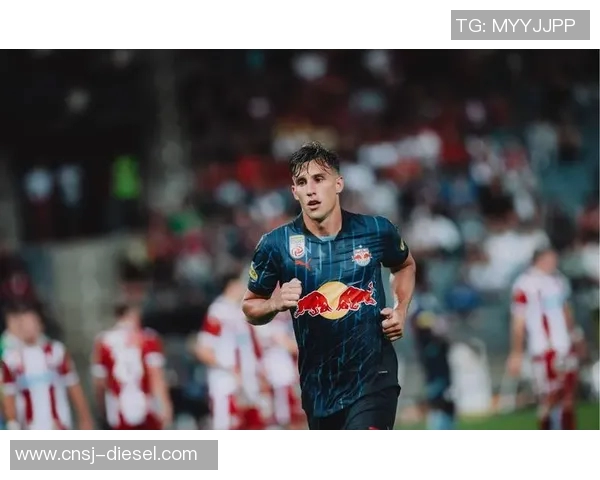 比甲亨克与布鲁日对决前瞻分析及双方近期状态评估