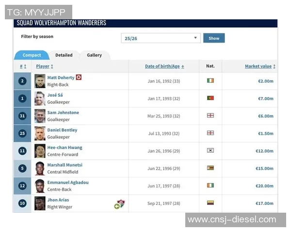 伯恩利与狼队对决数据分析揭示双方实力差距与战术特点