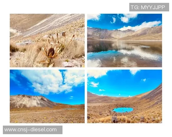 探索托卢卡的魅力与文化深度体验之旅 探索托卢卡的魅力与文化深度体验之旅