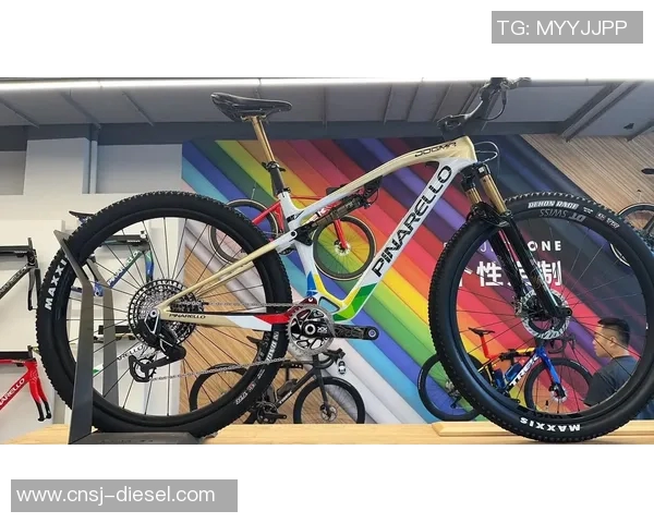 探索皮纳瑞罗的骑行魅力与创新科技之旅 探索皮纳瑞罗的骑行魅力与创新科技之旅