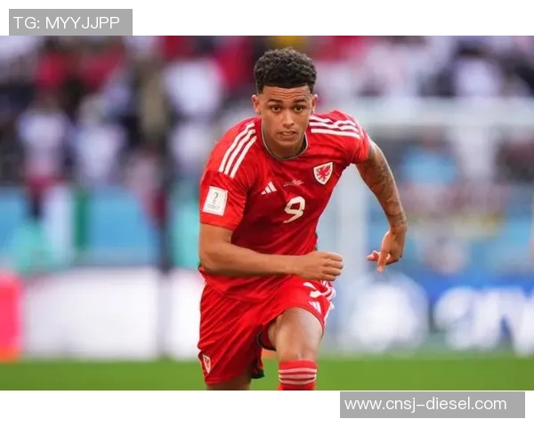 瑞士甲的魅力探秘:探索这款独特足球联赛的历史与发展