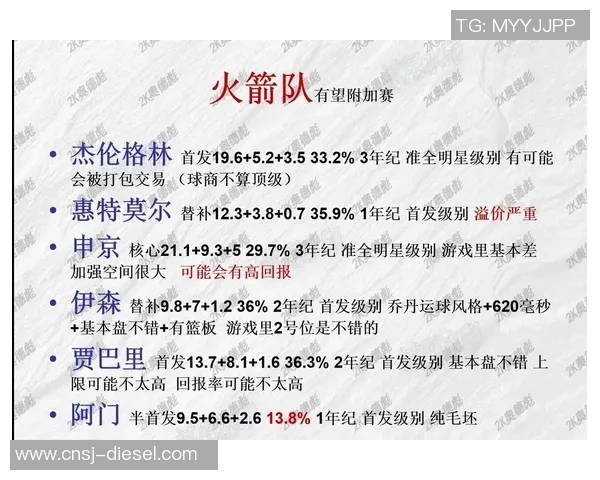 火箭队与黄蜂队对决数据分析及关键表现统计详解