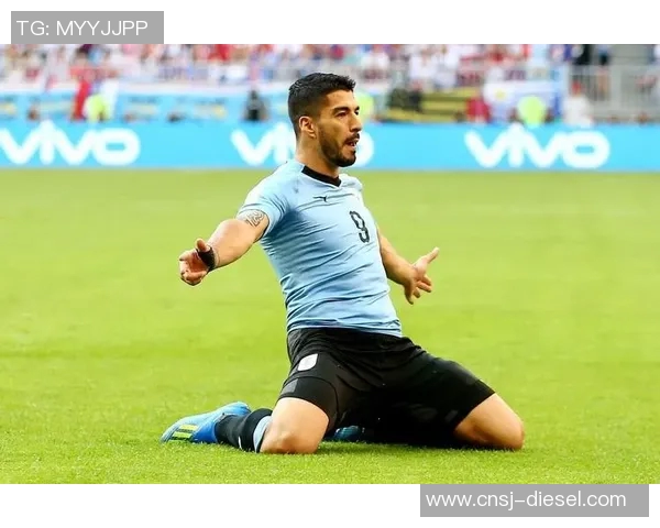 飓风队与自由队对决分析及胜负推荐策略分享