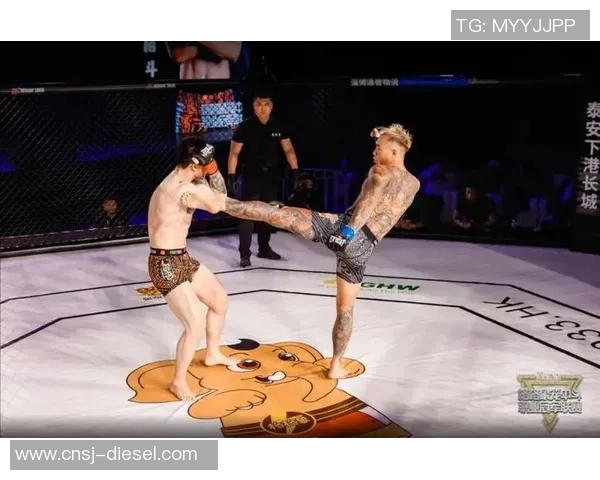 精彩对决直播法国与中国足球比赛展现激情与技术的巅峰对抗