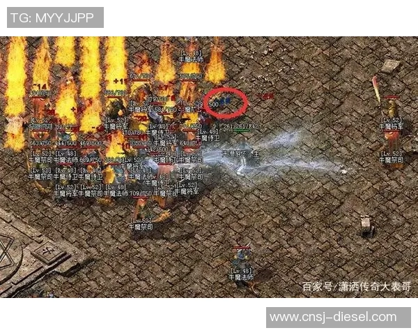 沙约克的传奇旅程：探索未知世界的勇者与智慧