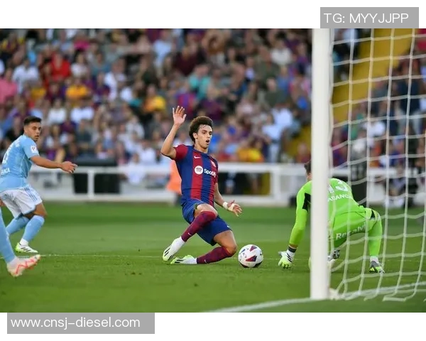 坎塞洛：从边缘球员到足球场上的璀璨明星之路解析