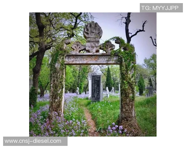 米利唐的传奇故事与历史背景探秘：从古代文明到现代影响的全景回顾